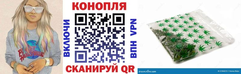 Конопля план  Купить закладки  Сунжа 